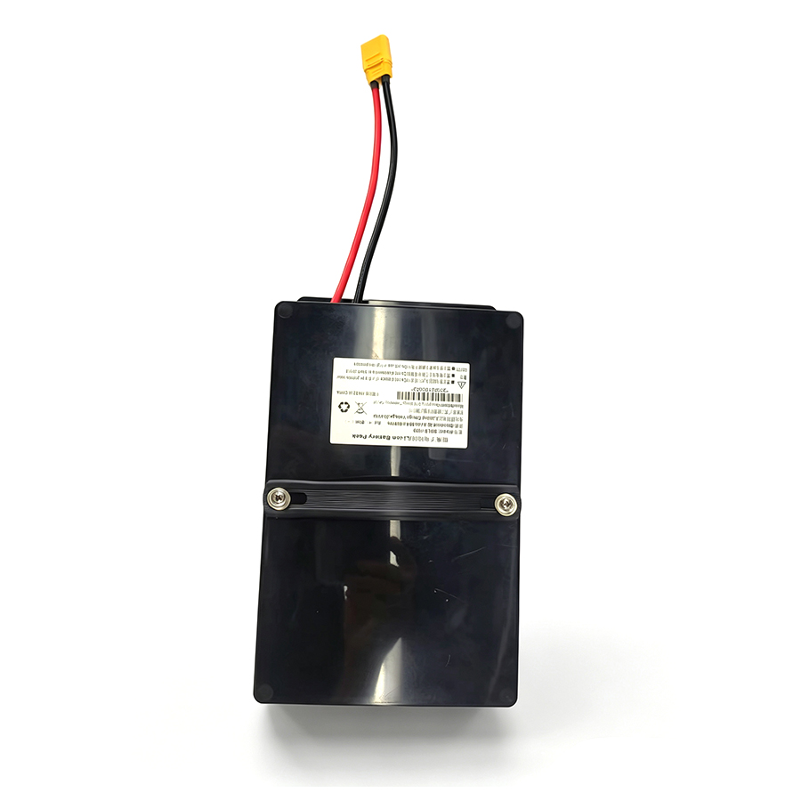 SNLB-1530   29.6V 30Ah  8S9P